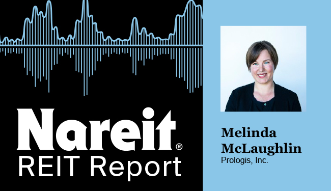 Mary McLaughlin on the REIT Report Podcast