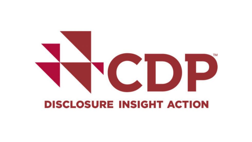 CDP logo