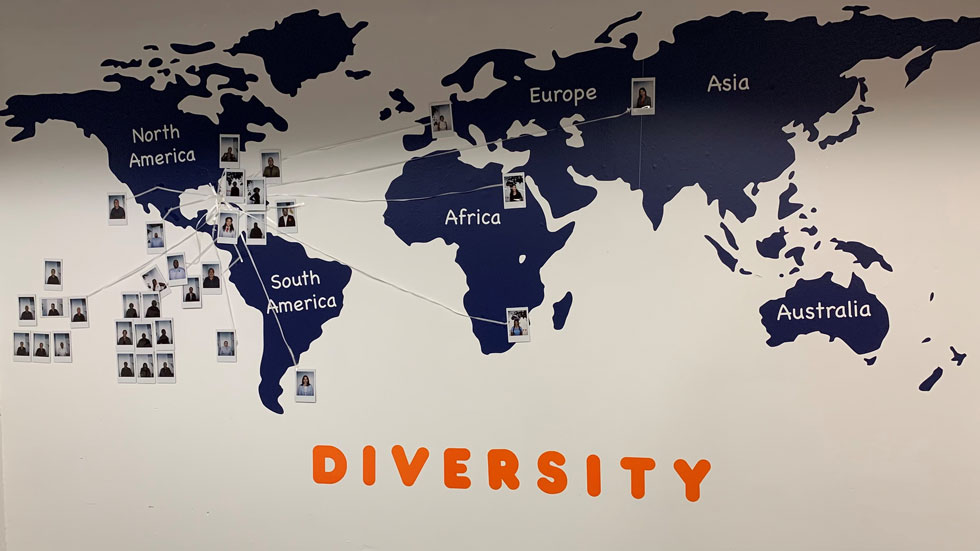 Diversity Wall