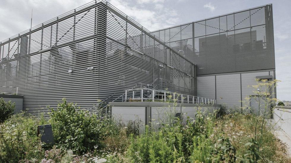 Equinix Green Roof