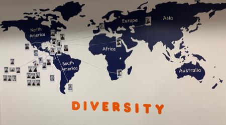 Diversity Wall