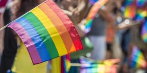 Gay Pride flags - stock image